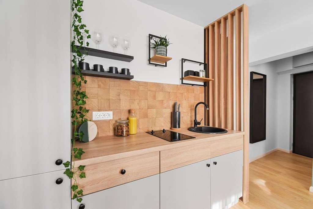 Mysa Modern Studio * Near Cismigiu Park * Netflix Boekarest Buitenkant foto